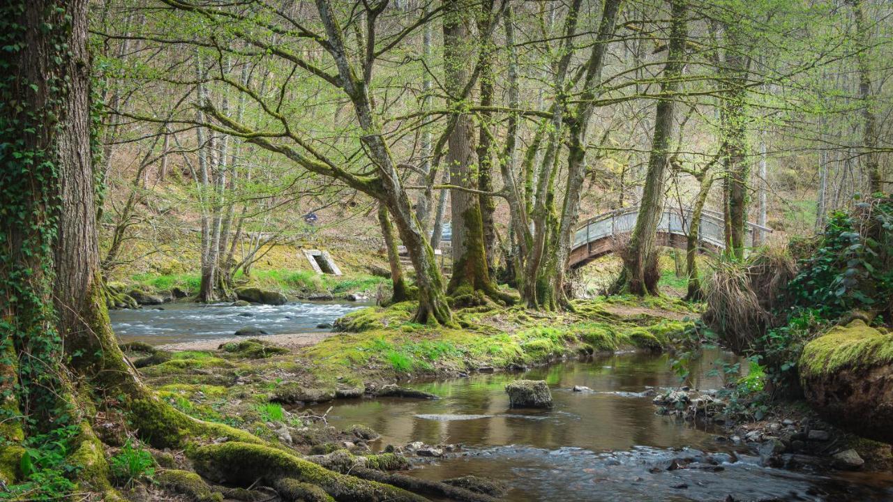 Le Moulin Des Ruats Ξενοδοχείο Αβαλόν Εξωτερικό φωτογραφία